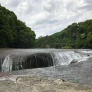 ヒメ日記 2025/07/08 04:04 投稿 ことは 木更津人妻花壇