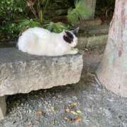 ヒメ日記 2025/07/12 20:56 投稿 ことは 木更津人妻花壇