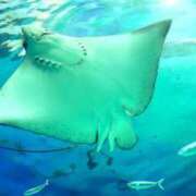 ヒメ日記 2025/07/16 13:53 投稿 ことは 木更津人妻花壇