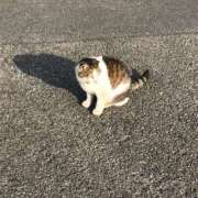 ヒメ日記 2025/07/19 13:59 投稿 ことは 木更津人妻花壇