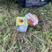 ヒメ日記 2025/07/21 18:44 投稿 ことは 木更津人妻花壇