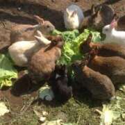 ヒメ日記 2025/08/01 18:56 投稿 ことは 木更津人妻花壇