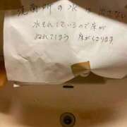 ヒメ日記 2025/12/16 06:08 投稿 ことは 木更津人妻花壇