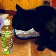 ヒメ日記 2025/12/25 15:08 投稿 ことは 木更津人妻花壇