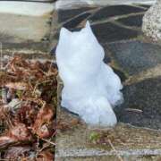 ヒメ日記 2026/01/22 22:13 投稿 ことは 木更津人妻花壇