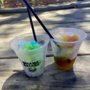 ヒメ日記 2026/02/14 09:05 投稿 ことは 木更津人妻花壇