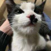 ヒメ日記 2026/02/17 23:27 投稿 ことは 木更津人妻花壇