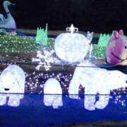 ヒメ日記 2026/02/24 11:35 投稿 ことは 木更津人妻花壇