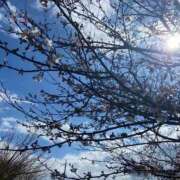 ヒメ日記 2026/03/28 00:40 投稿 ことは 木更津人妻花壇