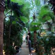 ヒメ日記 2025/06/01 12:19 投稿 りおん G-STAGE