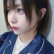 ヒメ日記 2025/04/02 07:00 投稿 こはく MOMO(モモ)