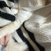 ヒメ日記 2025/04/02 22:21 投稿 こはく MOMO(モモ)