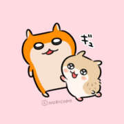 ヒメ日記 2025/04/09 20:12 投稿 こはく MOMO(モモ)