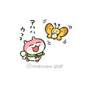 ヒメ日記 2025/04/12 17:26 投稿 こはく MOMO(モモ)