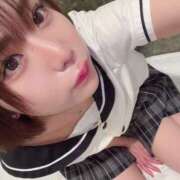 ヒメ日記 2025/04/14 12:21 投稿 こはく MOMO(モモ)