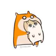 ヒメ日記 2025/04/15 23:45 投稿 こはく MOMO(モモ)