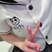 ヒメ日記 2025/04/17 13:12 投稿 こはく MOMO(モモ)