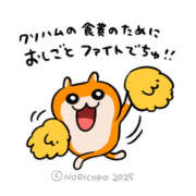 ヒメ日記 2025/04/26 03:35 投稿 こはく MOMO(モモ)