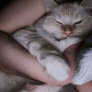 ヒメ日記 2025/05/04 18:49 投稿 こはく MOMO(モモ)