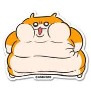 ヒメ日記 2025/05/19 00:34 投稿 こはく MOMO(モモ)