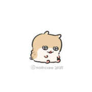 ヒメ日記 2025/06/08 07:16 投稿 こはく MOMO(モモ)