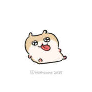 ヒメ日記 2025/06/11 00:16 投稿 こはく MOMO(モモ)