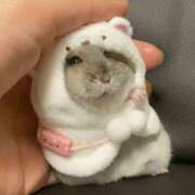 ヒメ日記 2025/06/13 16:40 投稿 こはく MOMO(モモ)