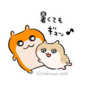 ヒメ日記 2025/06/22 05:28 投稿 こはく MOMO(モモ)