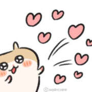 ヒメ日記 2025/07/06 12:13 投稿 こはく MOMO(モモ)