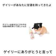 ヒメ日記 2025/07/21 08:08 投稿 こはく MOMO(モモ)