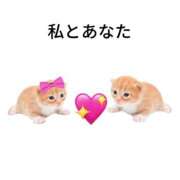 ヒメ日記 2025/08/17 13:52 投稿 こはく MOMO(モモ)