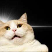 ヒメ日記 2025/09/01 15:47 投稿 こはく MOMO(モモ)