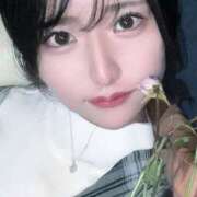 ヒメ日記 2025/09/11 11:11 投稿 こはく MOMO(モモ)