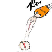 ヒメ日記 2025/09/21 06:39 投稿 こはく MOMO(モモ)