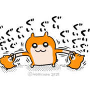 ヒメ日記 2025/10/10 02:02 投稿 こはく MOMO(モモ)