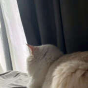 ヒメ日記 2025/10/25 14:02 投稿 こはく MOMO(モモ)