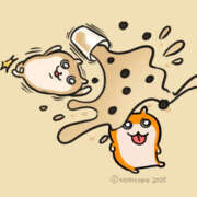 ヒメ日記 2025/11/03 00:59 投稿 こはく MOMO(モモ)