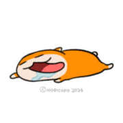 ヒメ日記 2025/11/16 13:13 投稿 こはく MOMO(モモ)