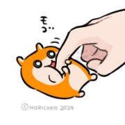 ヒメ日記 2025/11/17 17:41 投稿 こはく MOMO(モモ)