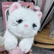 ヒメ日記 2025/12/28 16:07 投稿 こはく MOMO(モモ)