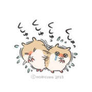 ヒメ日記 2026/01/11 05:33 投稿 こはく MOMO(モモ)