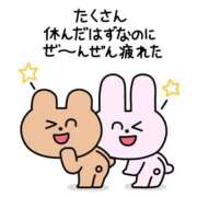 ヒメ日記 2026/01/12 06:33 投稿 こはく MOMO(モモ)