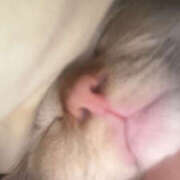 ヒメ日記 2026/01/21 18:05 投稿 こはく MOMO(モモ)