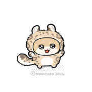 ヒメ日記 2026/01/29 11:01 投稿 こはく MOMO(モモ)