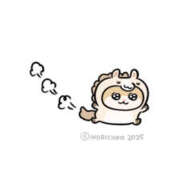 ヒメ日記 2026/02/01 16:29 投稿 こはく MOMO(モモ)