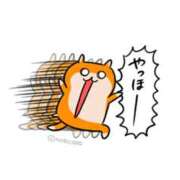 ヒメ日記 2026/03/22 02:33 投稿 こはく MOMO(モモ)