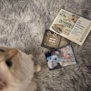 ヒメ日記 2026/03/23 00:28 投稿 こはく MOMO(モモ)