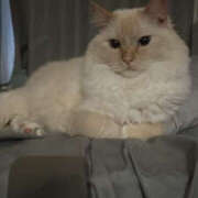 ヒメ日記 2026/03/28 15:09 投稿 こはく MOMO(モモ)