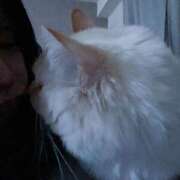 ヒメ日記 2026/04/05 08:00 投稿 こはく MOMO(モモ)