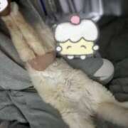 ヒメ日記 2026/04/07 01:01 投稿 こはく MOMO(モモ)